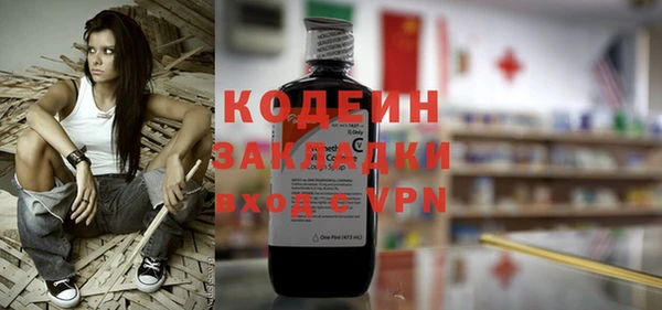 гашик Няндома