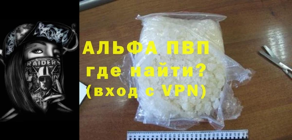 гашик Няндома