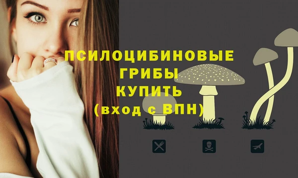 спайс Нягань