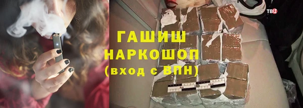 гашик Няндома