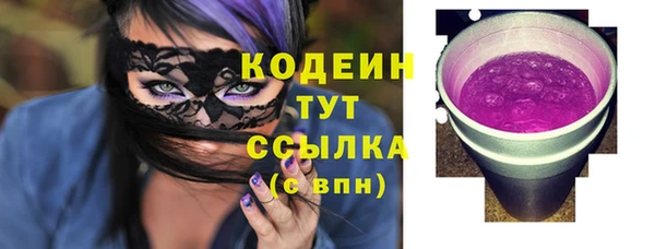 гашик Няндома