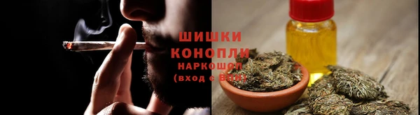 спайс Нягань