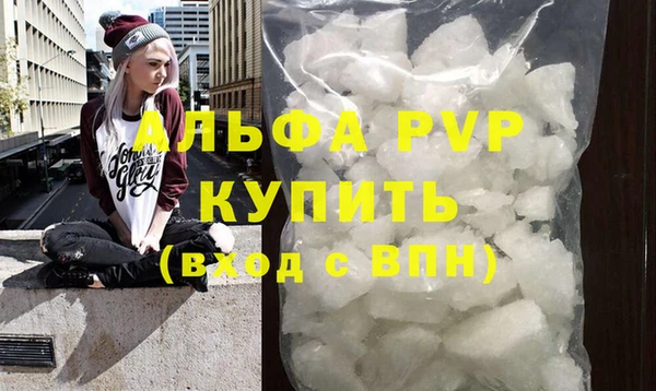 гашик Няндома