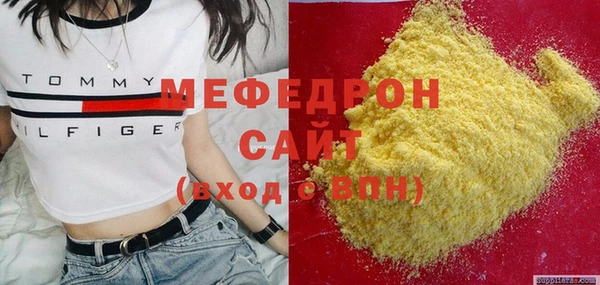 гашик Няндома
