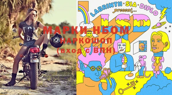 дживик Нязепетровск