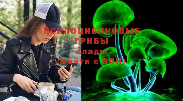 гашик Няндома