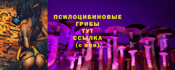 дживик Нязепетровск