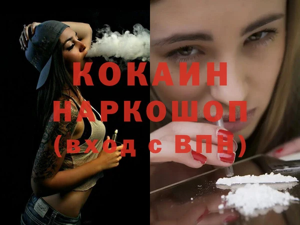 гашик Няндома