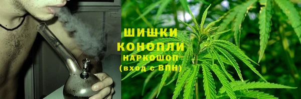 гашик Няндома