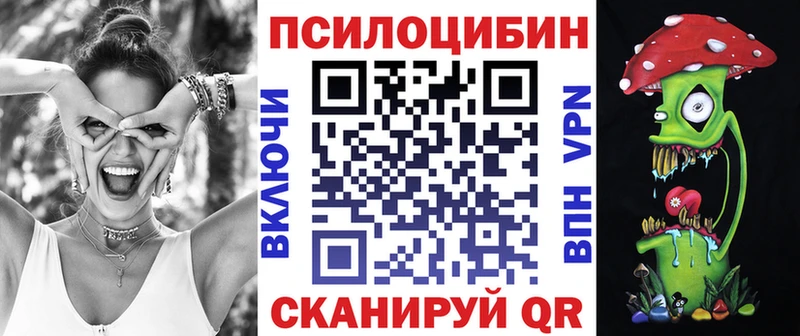 как найти наркотики  Алатырь  Псилоцибиновые грибы MAGIC MUSHROOMS 