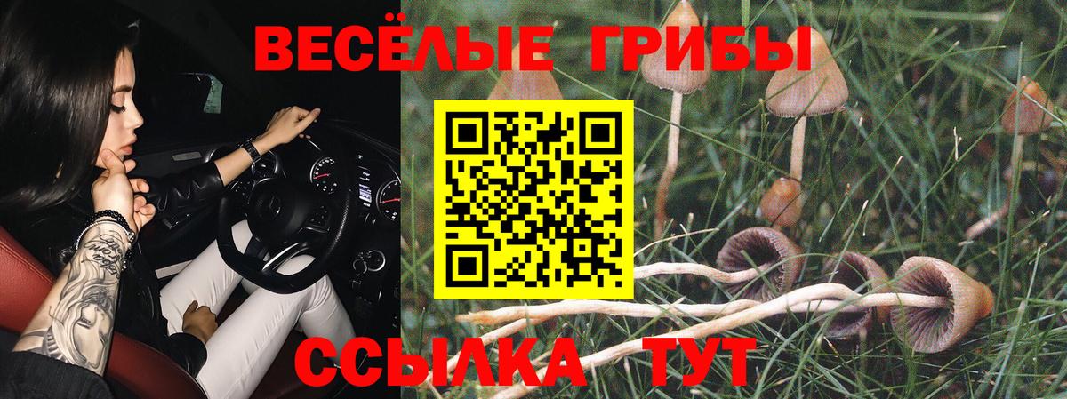 Галлюциногенные грибы Psilocybine cubensis Алатырь