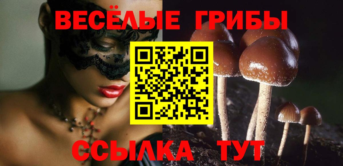 наркошоп  Вход с VPN  Алатырь  Галлюциногенные грибы Psilocybine cubensis  Псилоцибиновые грибы мухоморы 