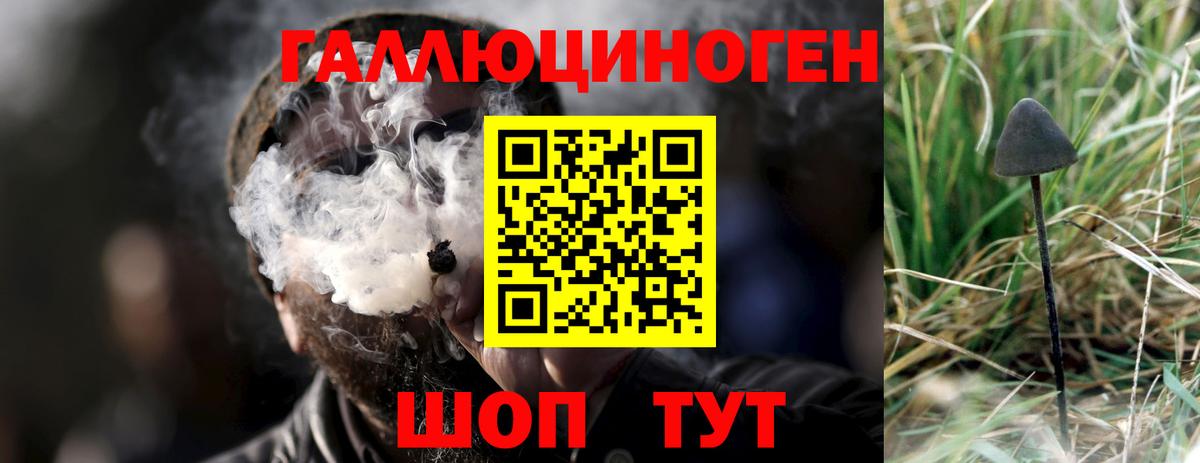 Галлюциногенные грибы Cubensis  хочу   Алатырь 